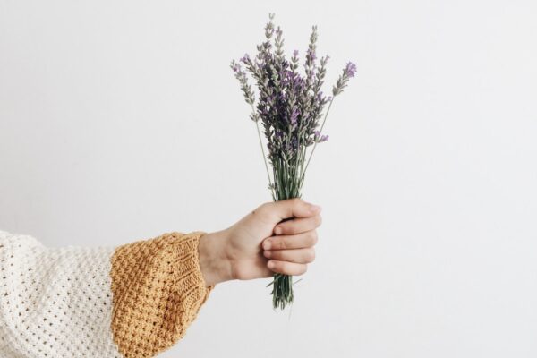 person holding flowers